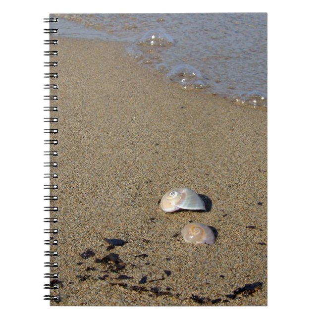 Seashell Seashore Notebook Anteckningsbok Med Spiral (Framsidan)