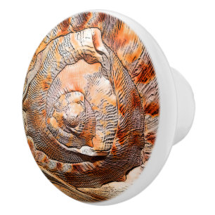 Seashell Snäcka Beach House Décor Knopp