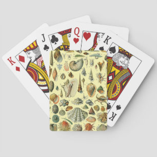 Seashell Snäcka Mollusk Clam Elegant Classic Art Casinokort