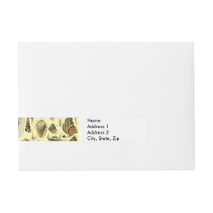 Seashell Snäcka Mollusk Clam Elegant Classic Art Etikettband