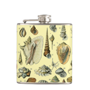 Seashell Snäcka Mollusk Clam Elegant Classic Art Fickplunta