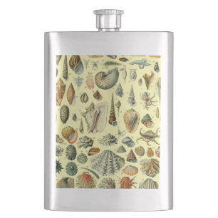 Seashell Snäcka Mollusk Clam Elegant Classic Art Fickplunta