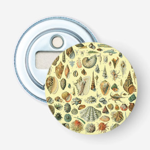 Seashell Snäcka Mollusk Clam Elegant Classic Art Flasköppnare
