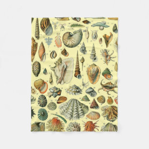 Seashell Snäcka Mollusk Clam Elegant Classic Art Fleecefilt