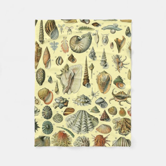 Seashell Snäcka Mollusk Clam Elegant Classic Art Fleecefilt (Framsidan)