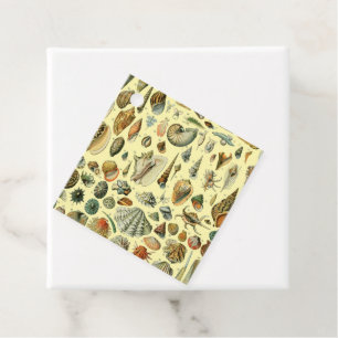 Seashell Snäcka Mollusk Clam Elegant Classic Art Gåvor Etiketter