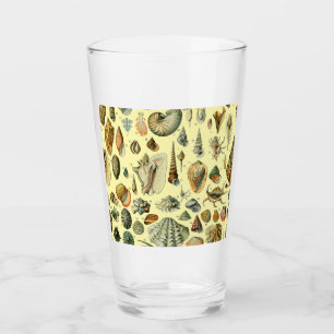 Seashell Snäcka Mollusk Clam Elegant Classic Art Glaskopp