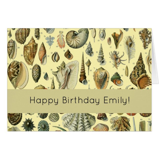 Seashell Snäcka Mollusk Clam Elegant Classic Art Hälsningskort (Framsidan Horizontal)