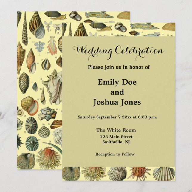 Seashell Snäcka Mollusk Clam Elegant Classic Art Inbjudningar (Fram/baksida)