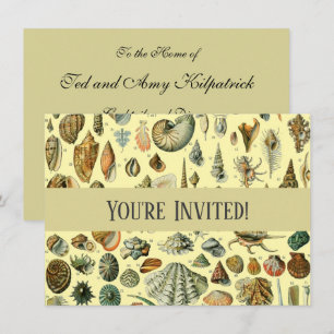 Seashell Snäcka Mollusk Clam Elegant Classic Art Inbjudningar