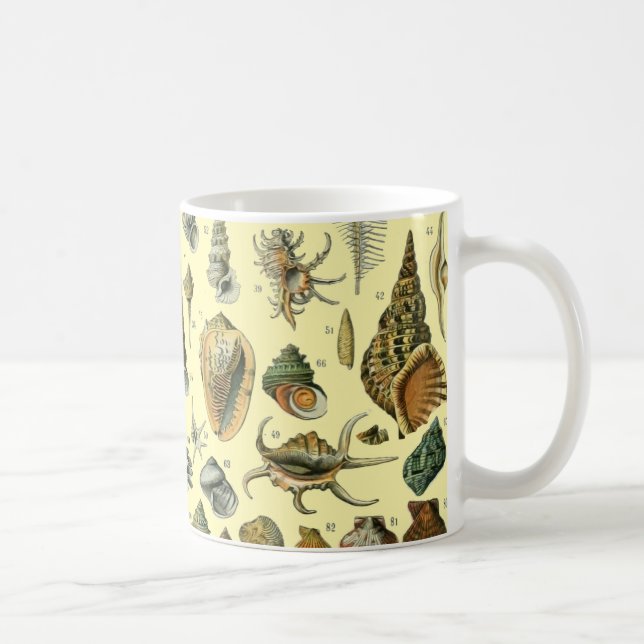 Seashell Snäcka Mollusk Clam Elegant Classic Art Kaffemugg (Höger)
