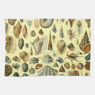 Seashell Snäcka Mollusk Clam Elegant Classic Art Kökshandduk