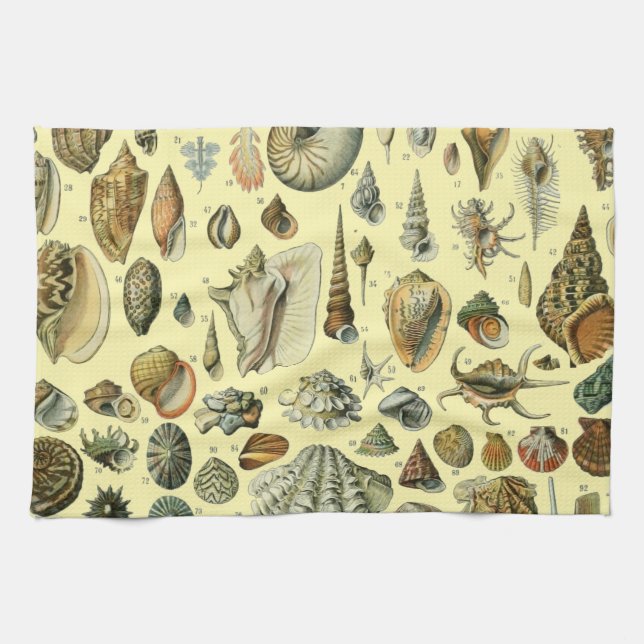Seashell Snäcka Mollusk Clam Elegant Classic Art Kökshandduk (Horisontell)