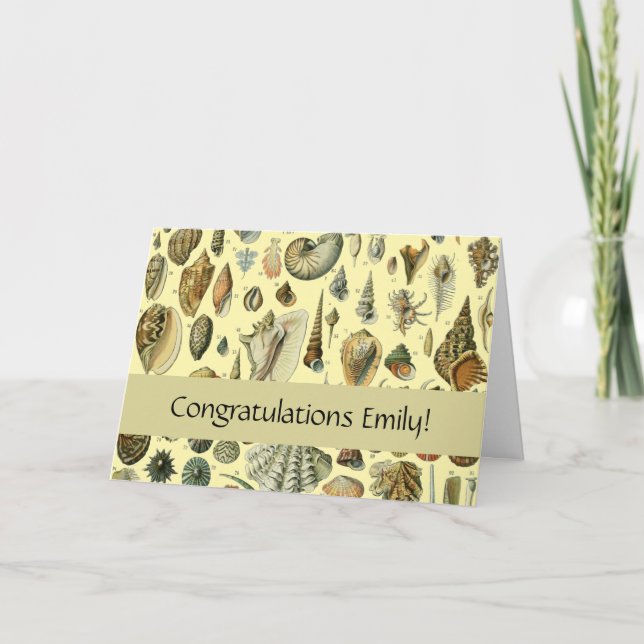 Seashell Snäcka Mollusk Clam Elegant Classic Art Kort (Framsida)