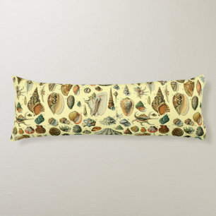 Seashell Snäcka Mollusk Clam Elegant Classic Art Kroppskudde