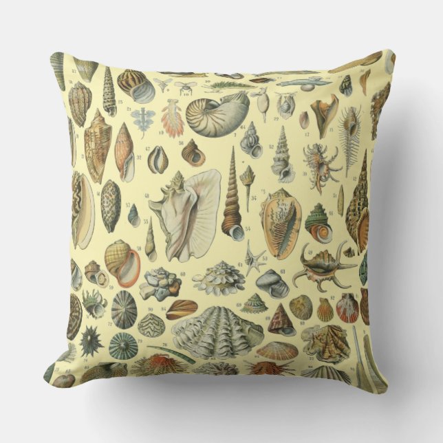 Seashell Snäcka Mollusk Clam Elegant Classic Art Kudde (Framsida)