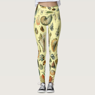 Seashell Snäcka Mollusk Clam Elegant Classic Art Leggings