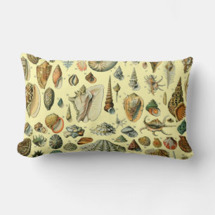 Seashell Snäcka Mollusk Clam Elegant Classic Art Lumbarkudde
