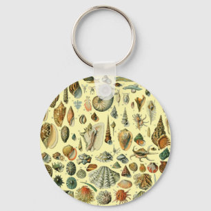 Seashell Snäcka Mollusk Clam Elegant Classic Art Nyckelring