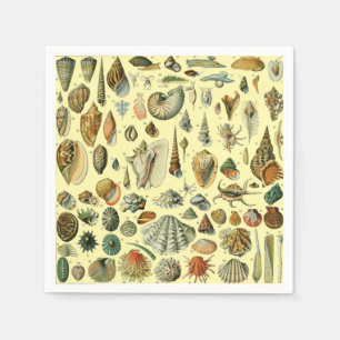 Seashell Snäcka Mollusk Clam Elegant Classic Art Pappersservett
