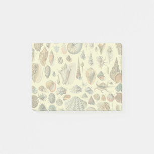 Seashell Snäcka Mollusk Clam Elegant Classic Art Post-it Block
