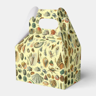 Seashell Snäcka Mollusk Clam Elegant Classic Art Presentaskar