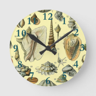 Seashell Snäcka Mollusk Clam Elegant Classic Art Rund Klocka