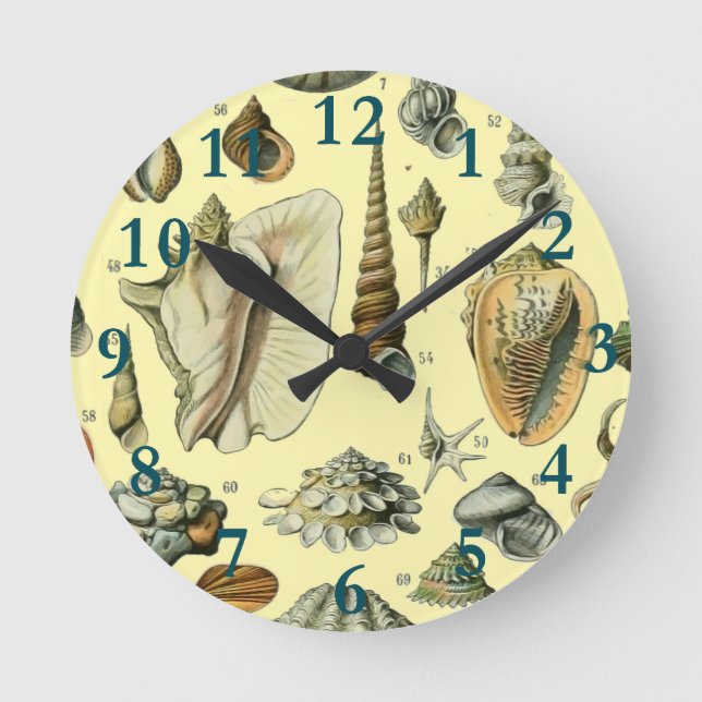 Seashell Snäcka Mollusk Clam Elegant Classic Art Rund Klocka (Framsida)