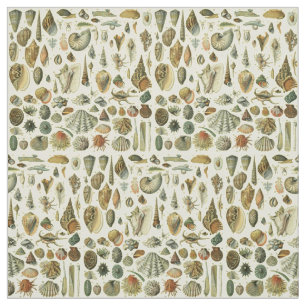Seashell Snäcka Mollusk Clam Elegant Classic Art Tyg