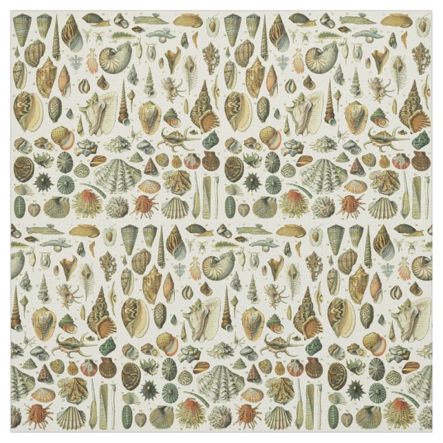 Seashell Snäcka Mollusk Clam Elegant Classic Art Tyg (Provkarta)