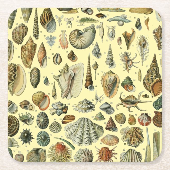 Seashell Snäcka Mollusk Clam Elegant Classic Art Underlägg Papper Kvadrat (Framsidan)