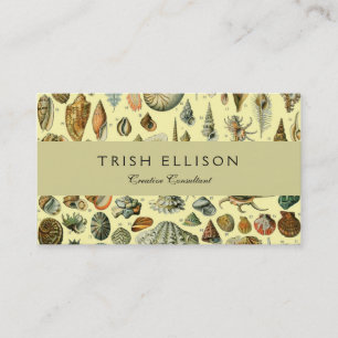 Seashell Snäcka Mollusk Clam Elegant Classic Art Visitkort