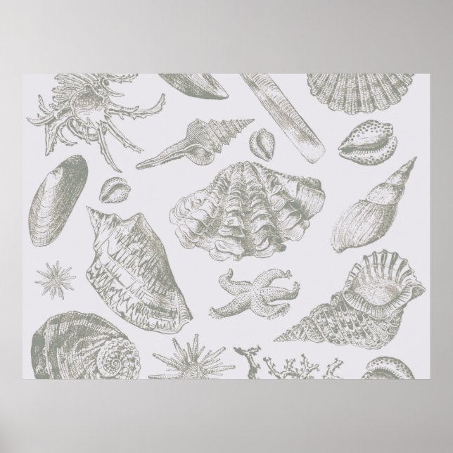 Seashell Soft Antique Art Beach-Snäcka Poster (Framsidan)