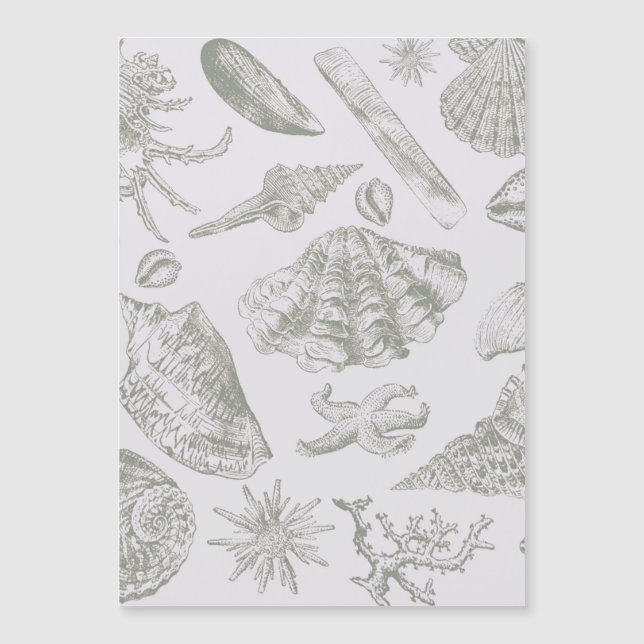 Seashell Soft Antique Art Beach-Snäckor (Framsida)