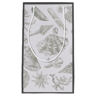 Seashell Soft Antique Art Beach-Snäckor