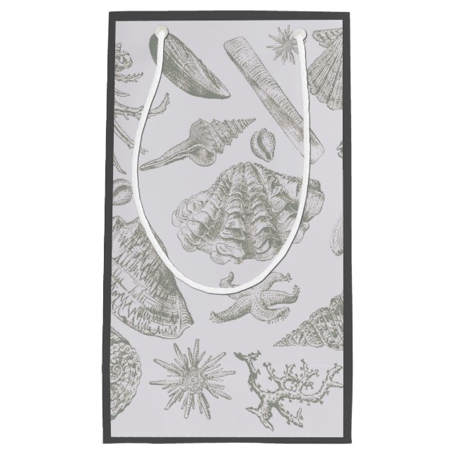 Seashell Soft Antique Art Beach-Snäckor (Framsidan)