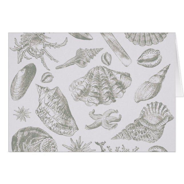 Seashell Soft Antique Art Beach-Snäckor Hälsningskort (Framsidan Horizontal)