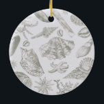 Seashell Soft Antique Art Beach-Snäckor Julgransprydnad Keramik<br><div class="desc">Snäcka  av "Beach Seashell Classic Elegant Art" - Ett strandtema med vintage av årstidsbundna konstverk.</div>