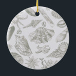 Seashell Soft Antique Art Beach-Snäckor Julgransprydnad Keramik<br><div class="desc">Snäcka  av "Beach Seashell Classic Elegant Art" - Ett strandtema med vintage av årstidsbundna konstverk.</div>