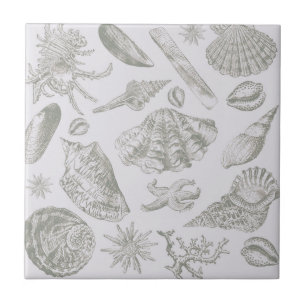 Seashell Soft Antique Art Beach-Snäckor Kakelplatta