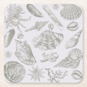 Seashell Soft Antique Art Beach-Snäckor Underlägg Papper Kvadrat