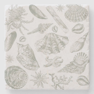 Seashell Soft Antique Art Beach-Snäckor Underlägg Sten