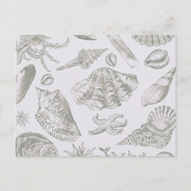 Seashell Soft Antique Art Beach-Snäckor Vykort (Framsida)