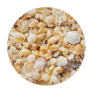 Seashell texturerade sommarstrandbakgrund.