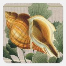 Seashell Vintage Beach Square Sticker