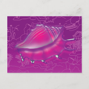 Seashell Vykort