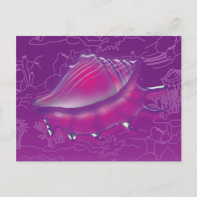 Seashell Vykort (Framsida)