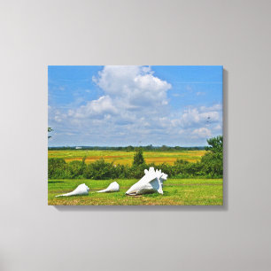 Seashell Wrapped Canvas