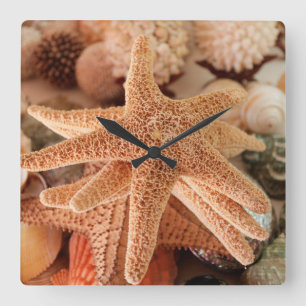 Seasheller för försäljning Zihuatanejo, Mexiko Fyrkantig Klocka