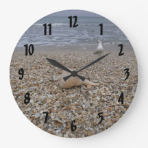 Seasheller och havsbottnar